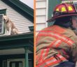 Husky Gives Adorable Kiss To Firefighter As Thanks For Rescuing Him!