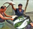 বাকিতে রেণু পোনা কিনে বেকার থেকে মাছ চাষ করে এখন মালিক ১৬০ বিঘা জমির